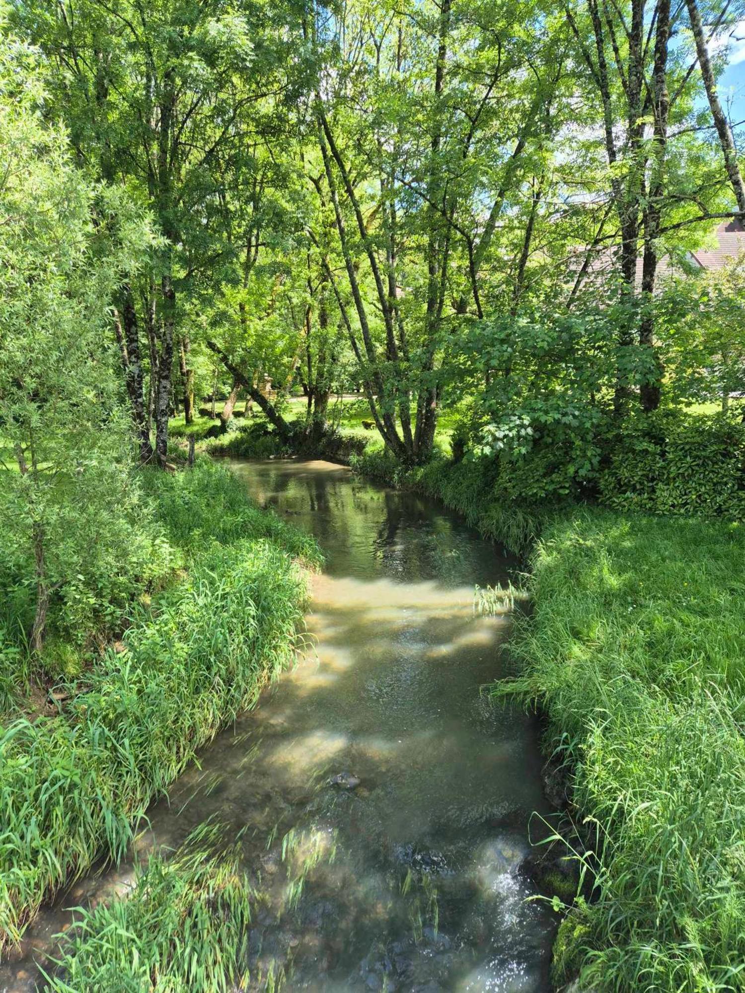 Au Lavoir Du Serein "L'Eventail" Saint-Germain-les-Arlay Exterior photo